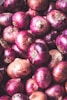 Red Onions