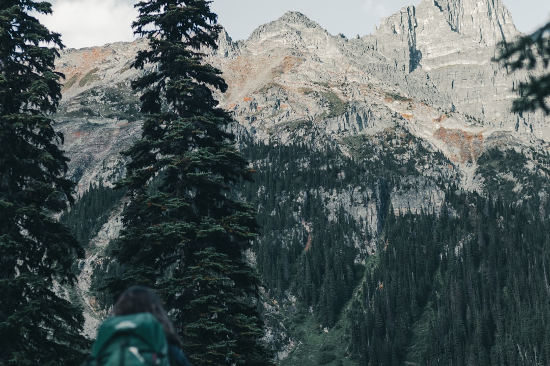 person in green jacket standing near snow covered mountain during daytime