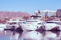 A panoramic view of Puerto Banús marina filled with luxury yachts.