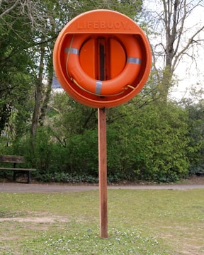 An orange lifebuoy mounted on a wooden post is situated in a grassy area with trees in the background. The word 'LIFEBUOY' is embossed on the outer covering containing the ring.