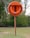 An orange lifebuoy mounted on a wooden post is situated in a grassy area with trees in the background. The word 'LIFEBUOY' is embossed on the outer covering containing the ring.