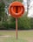 An orange lifebuoy mounted on a wooden post is situated in a grassy area with trees in the background. The word 'LIFEBUOY' is embossed on the outer covering containing the ring.