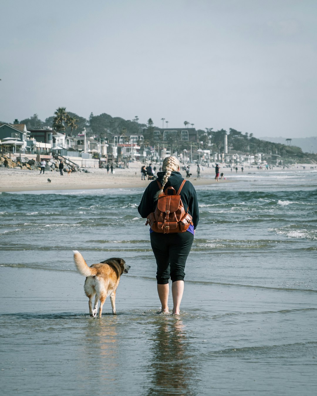 woman in black jacket and blue denim jeans walking on beach with brown dog during daytime