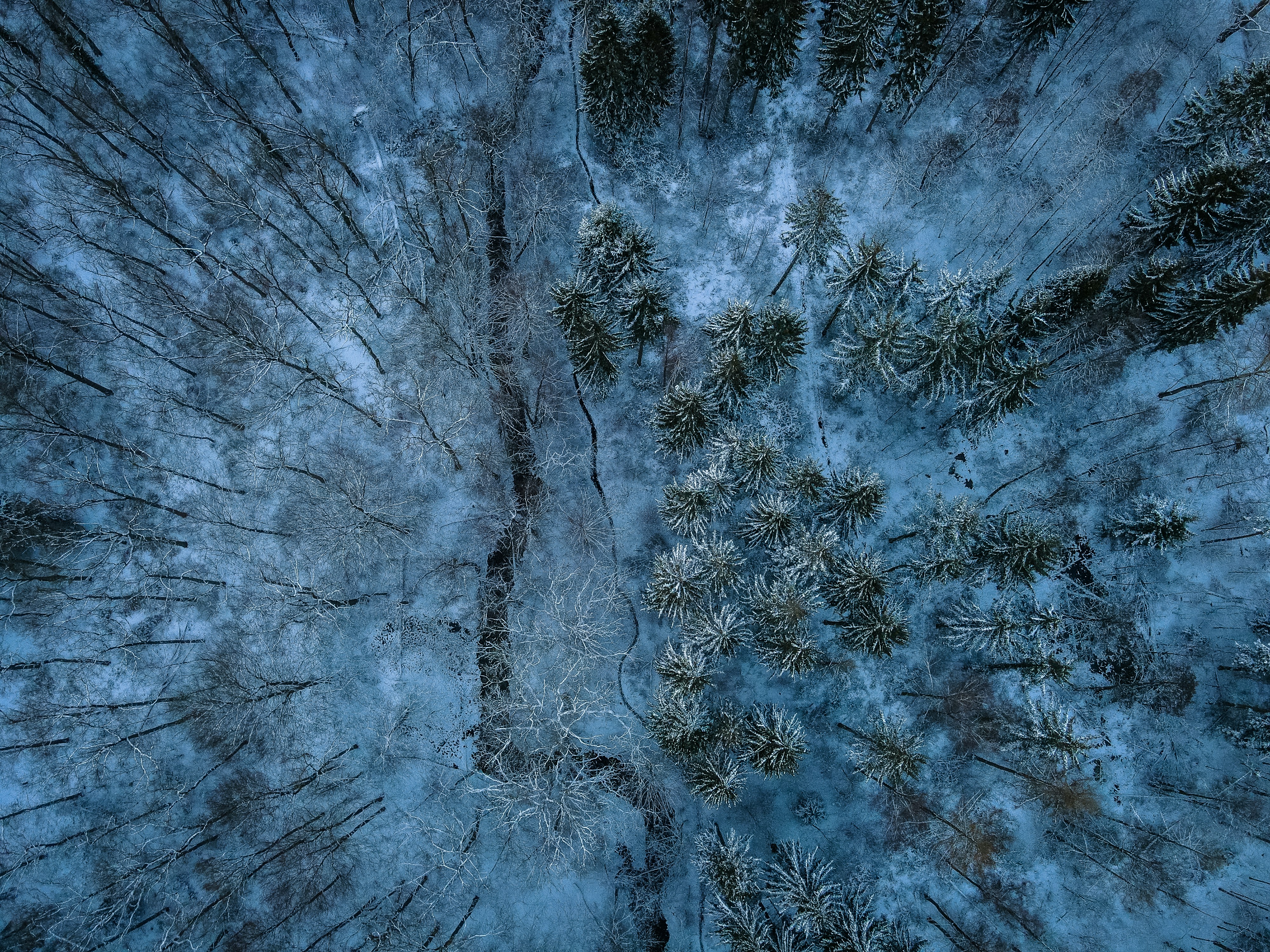 Photo by floriansavatry