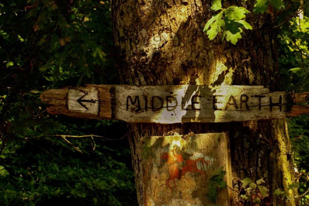 brown wooden signage on brown tree trunk