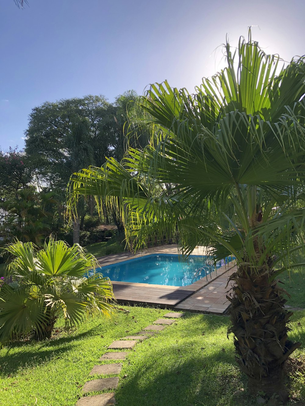 green palm trees near swimming pool during daytime