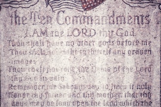 text