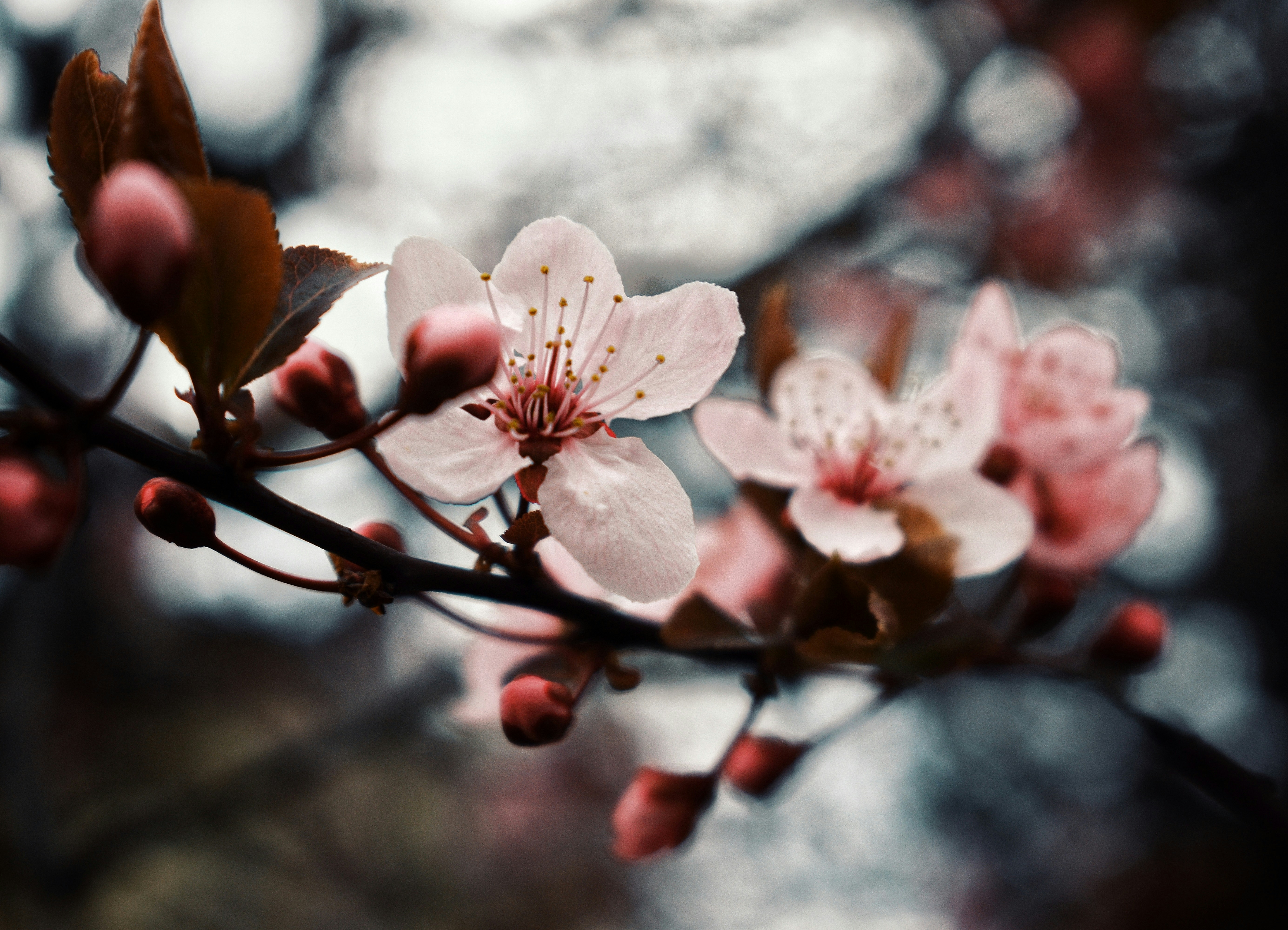 Photo by ioana_scholler