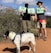 Two individuals are outdoors, holding signs related to Earth Day and environmental cleanup efforts. They are accompanied by a large dog on a leash. The scene is set on a dirt path surrounded by greenery, and both individuals are wearing hats and face masks, suggesting sunny weather and safety precautions.