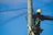 A worker wearing a hard hat and safety harness is climbing a wooden utility pole, surrounded by numerous cables against a clear blue sky.