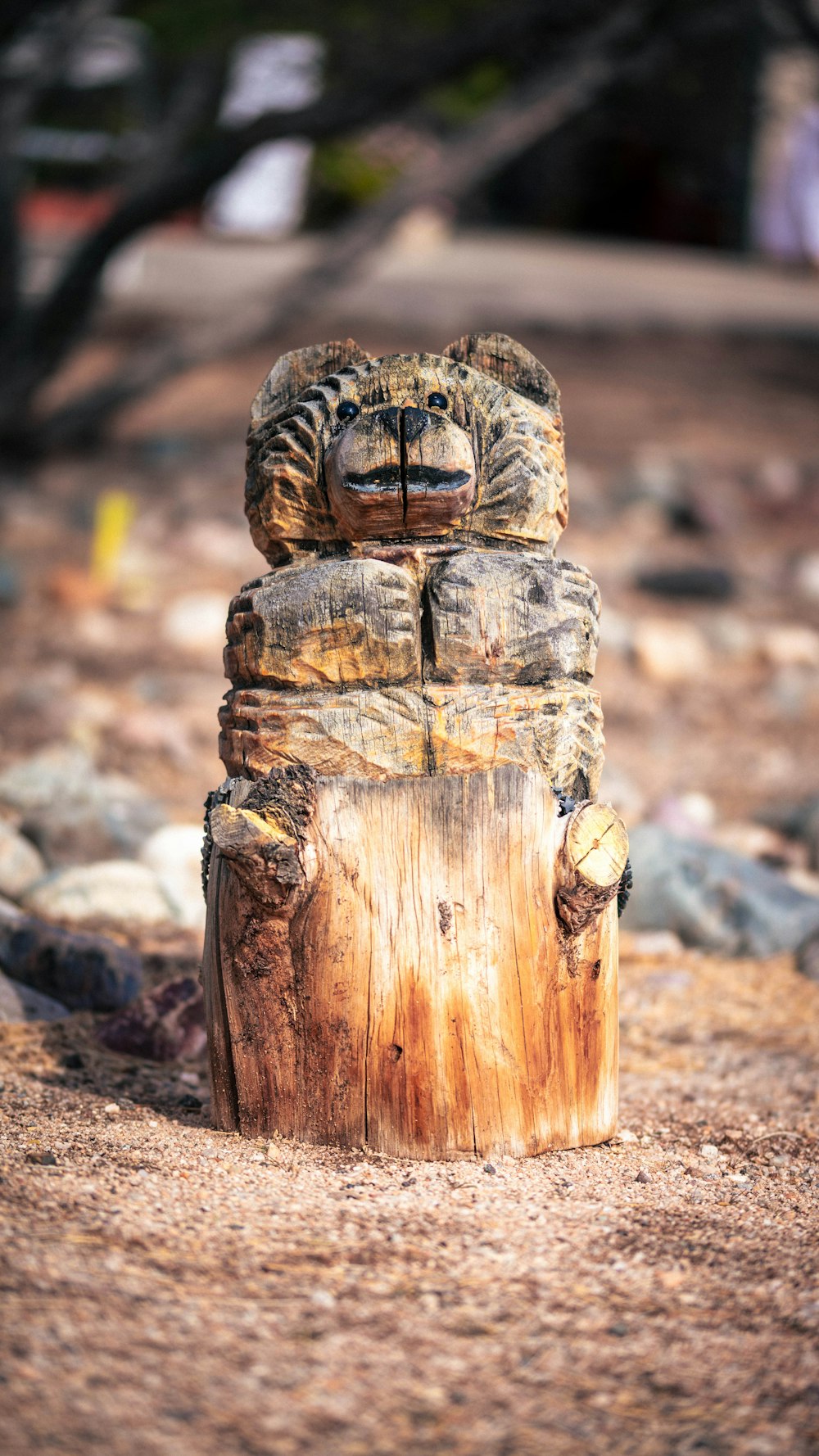 brown wooden log on brown soil