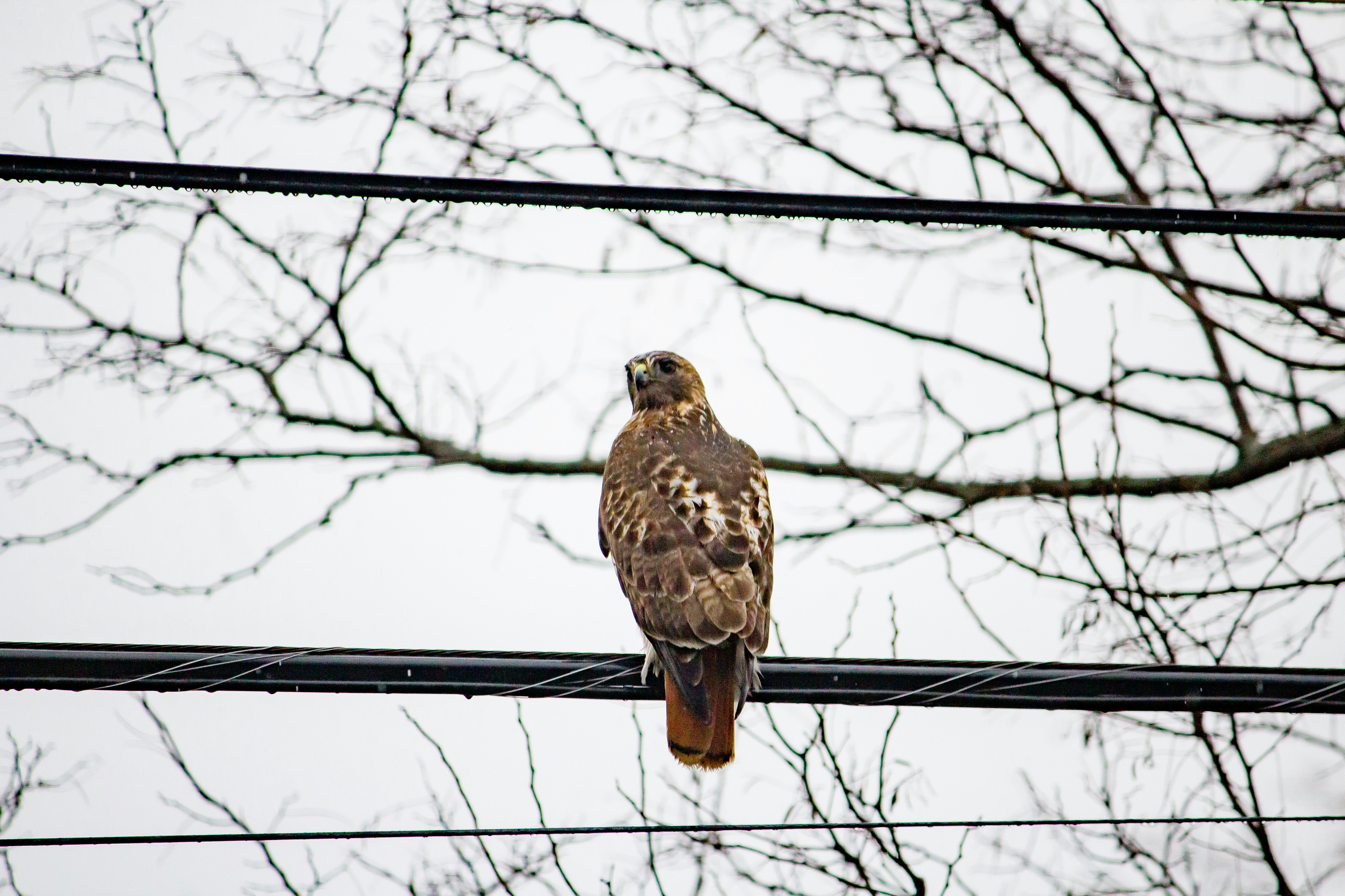 Photo by bonniekdesign