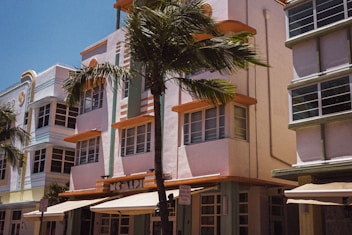 green palm tree near white and brown concrete building during daytime