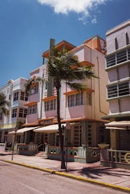 green palm tree near white and brown concrete building during daytime