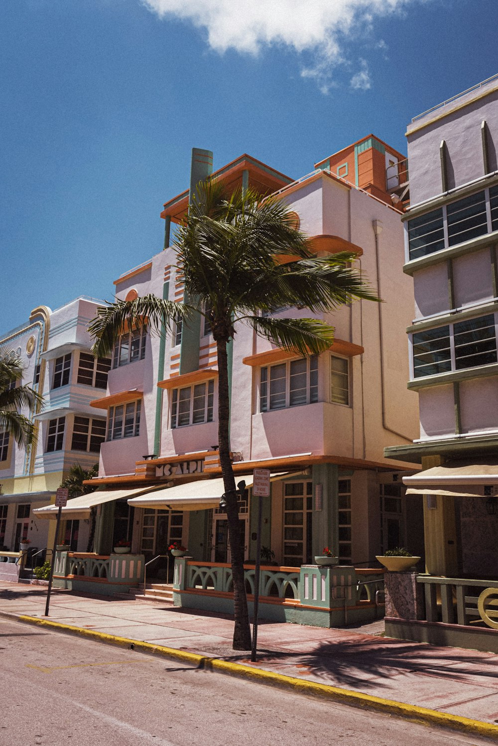 green palm tree near white and brown concrete building during daytime