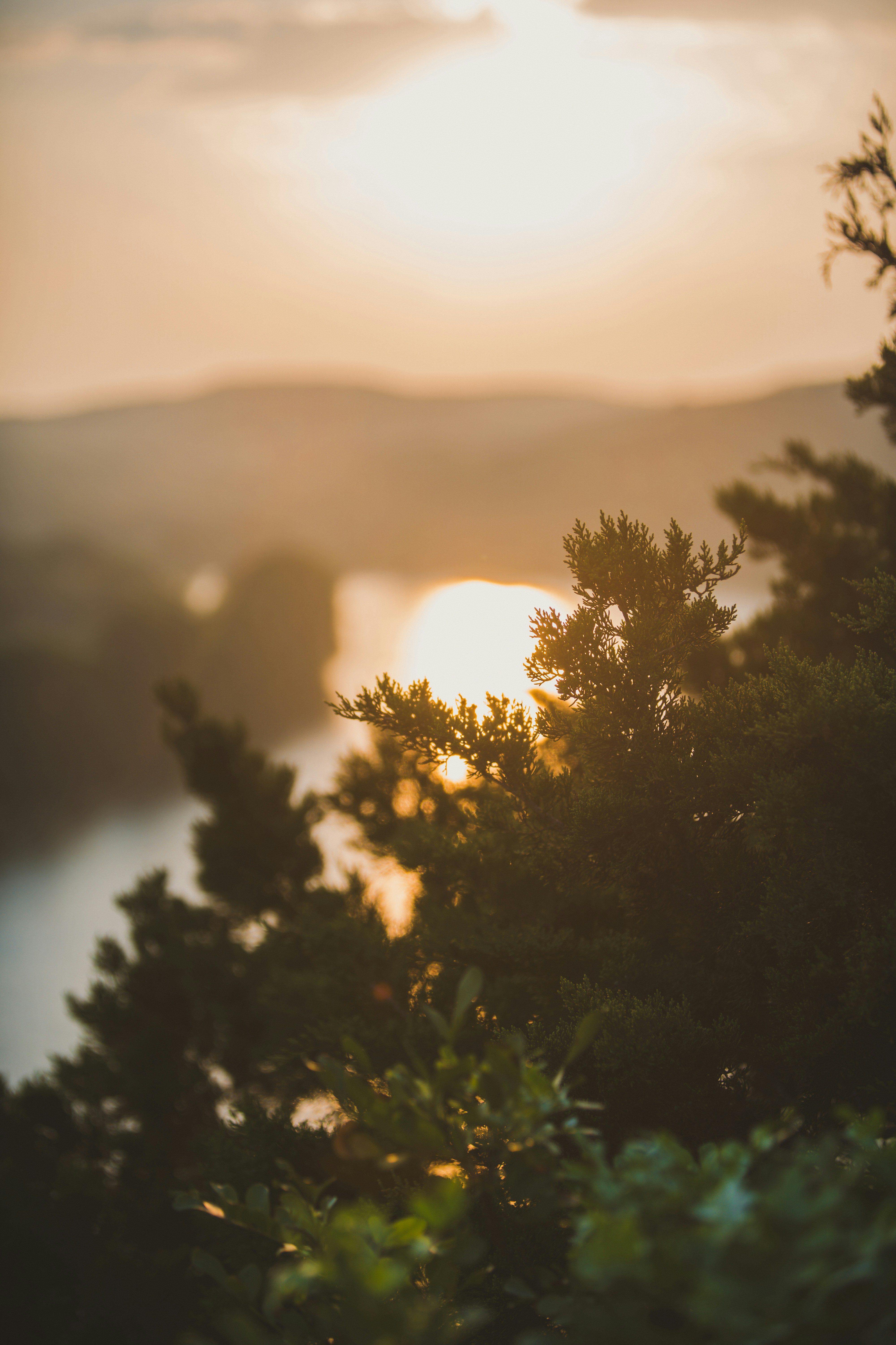 Photo by lucasbeckphotography