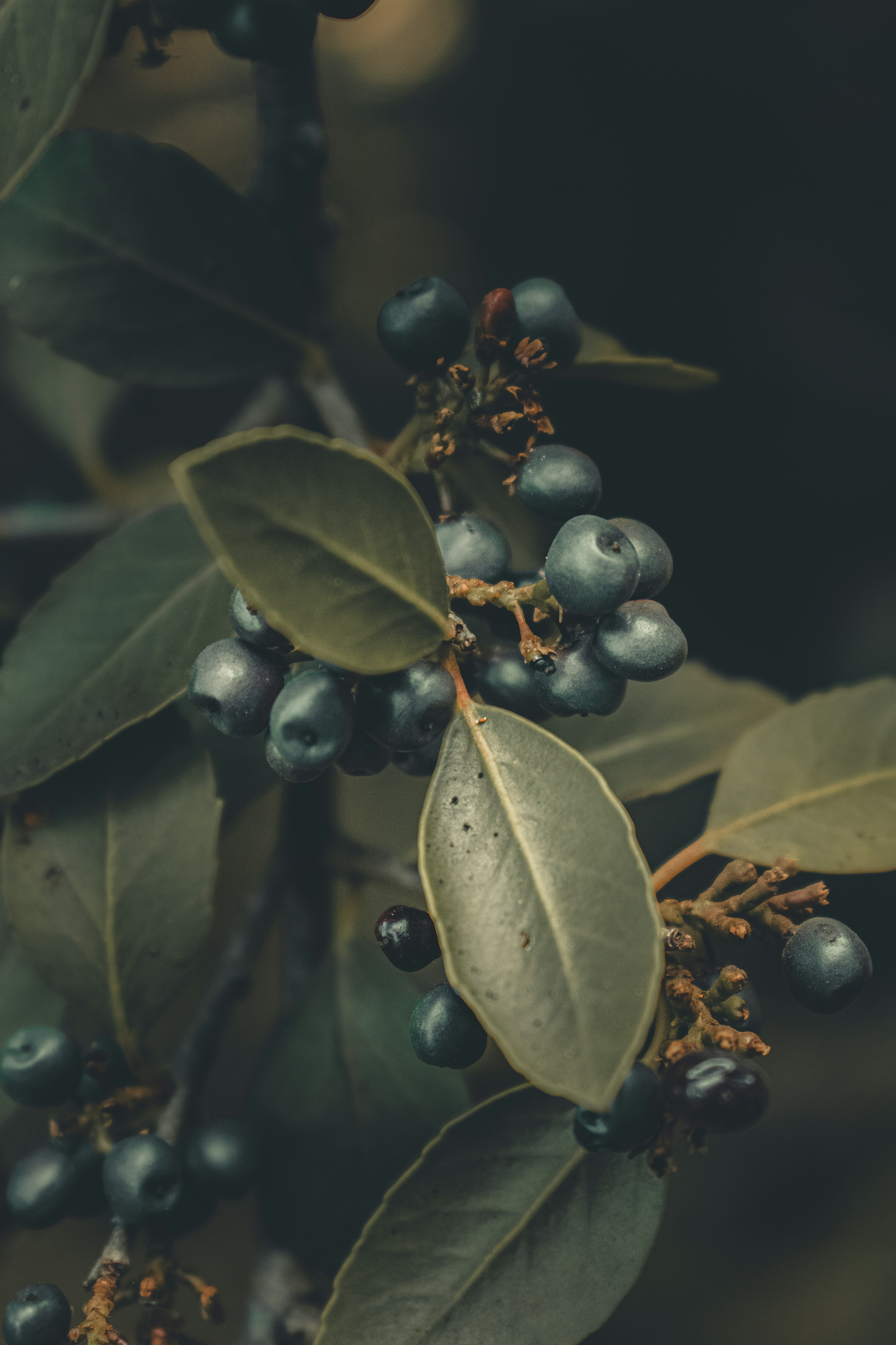 Photo by williamsiann