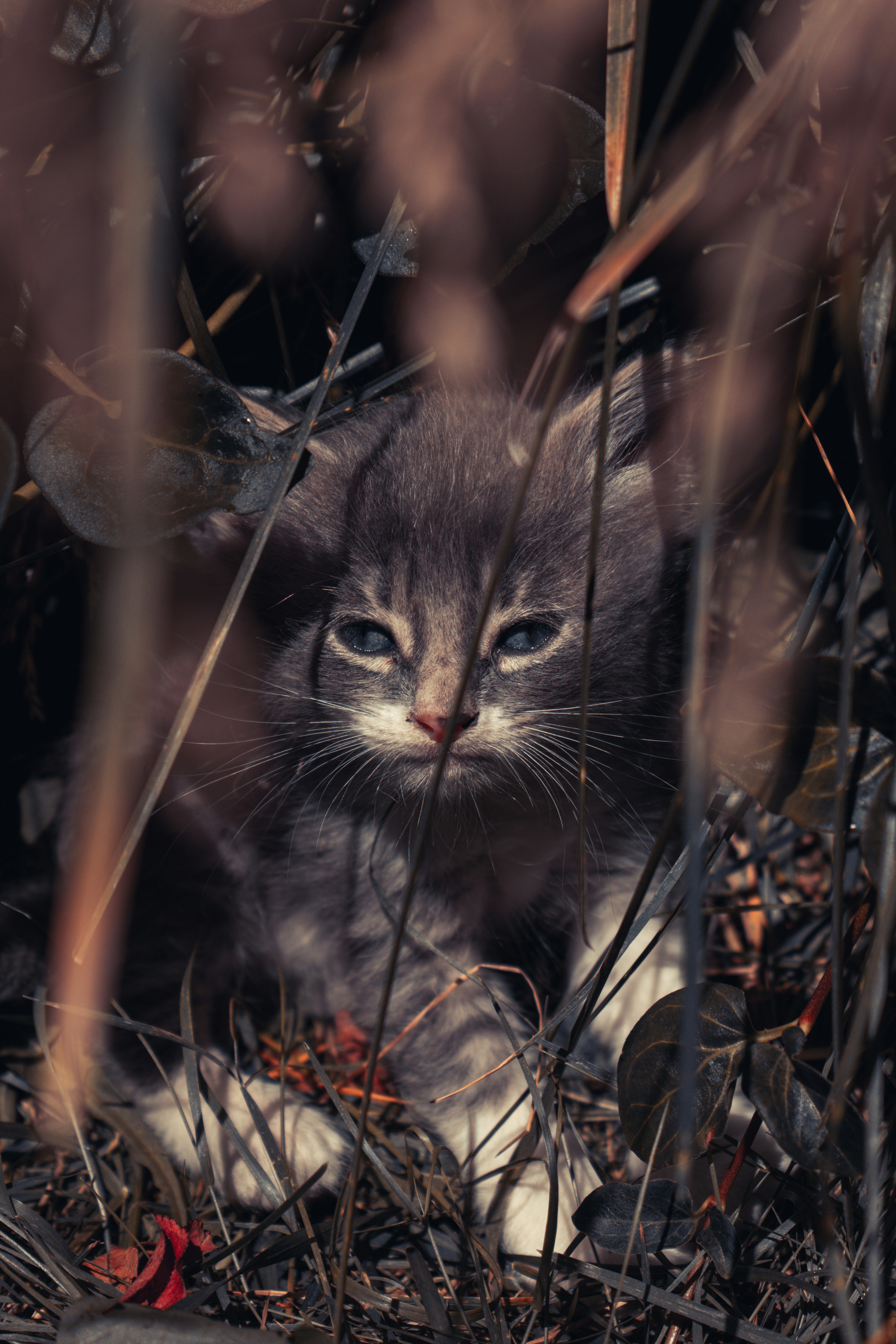Photo by williamsiann