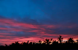 Sunset view over the Caribbean Sea with palm trees silhouetted against a coral sky.