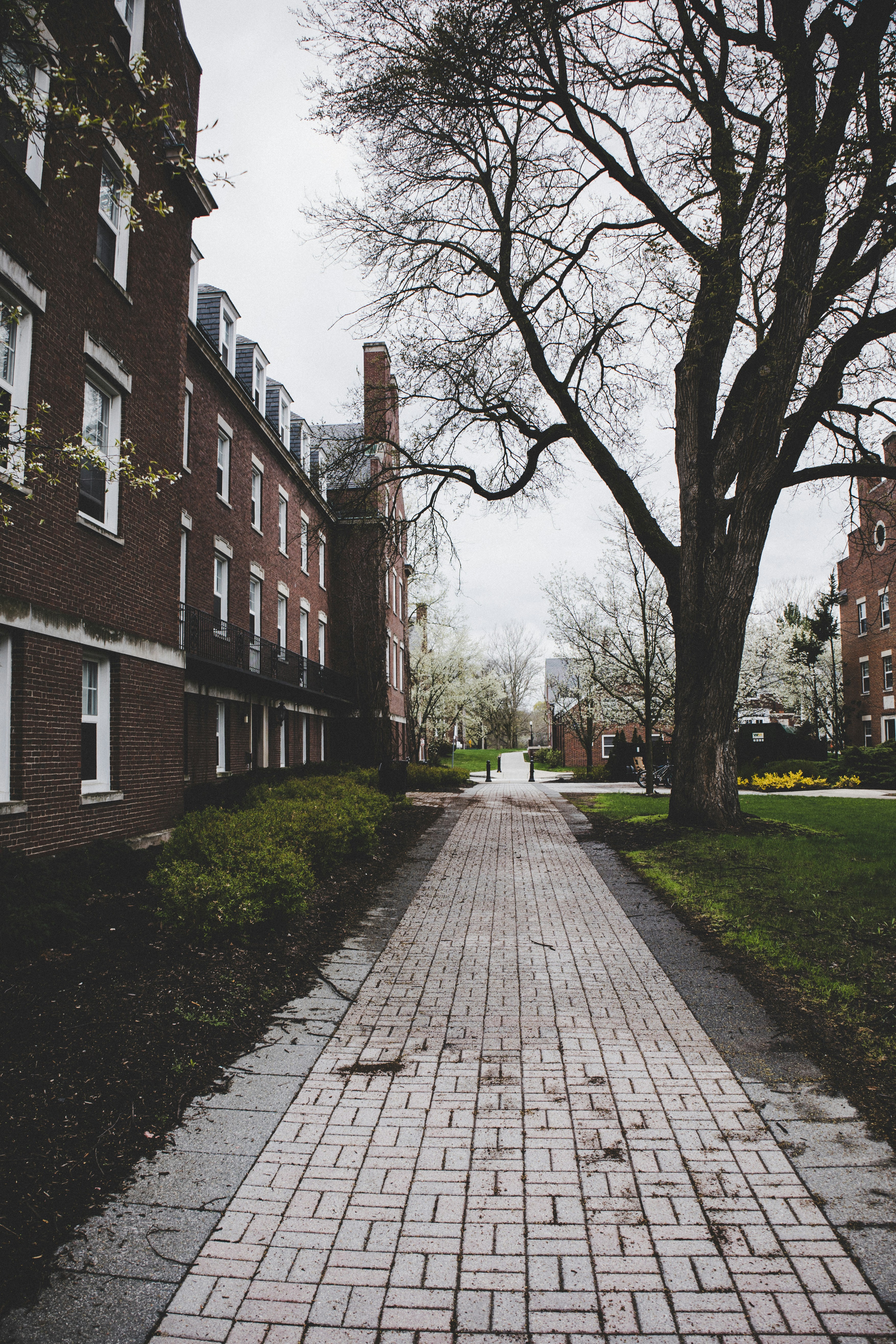 University of Rochester