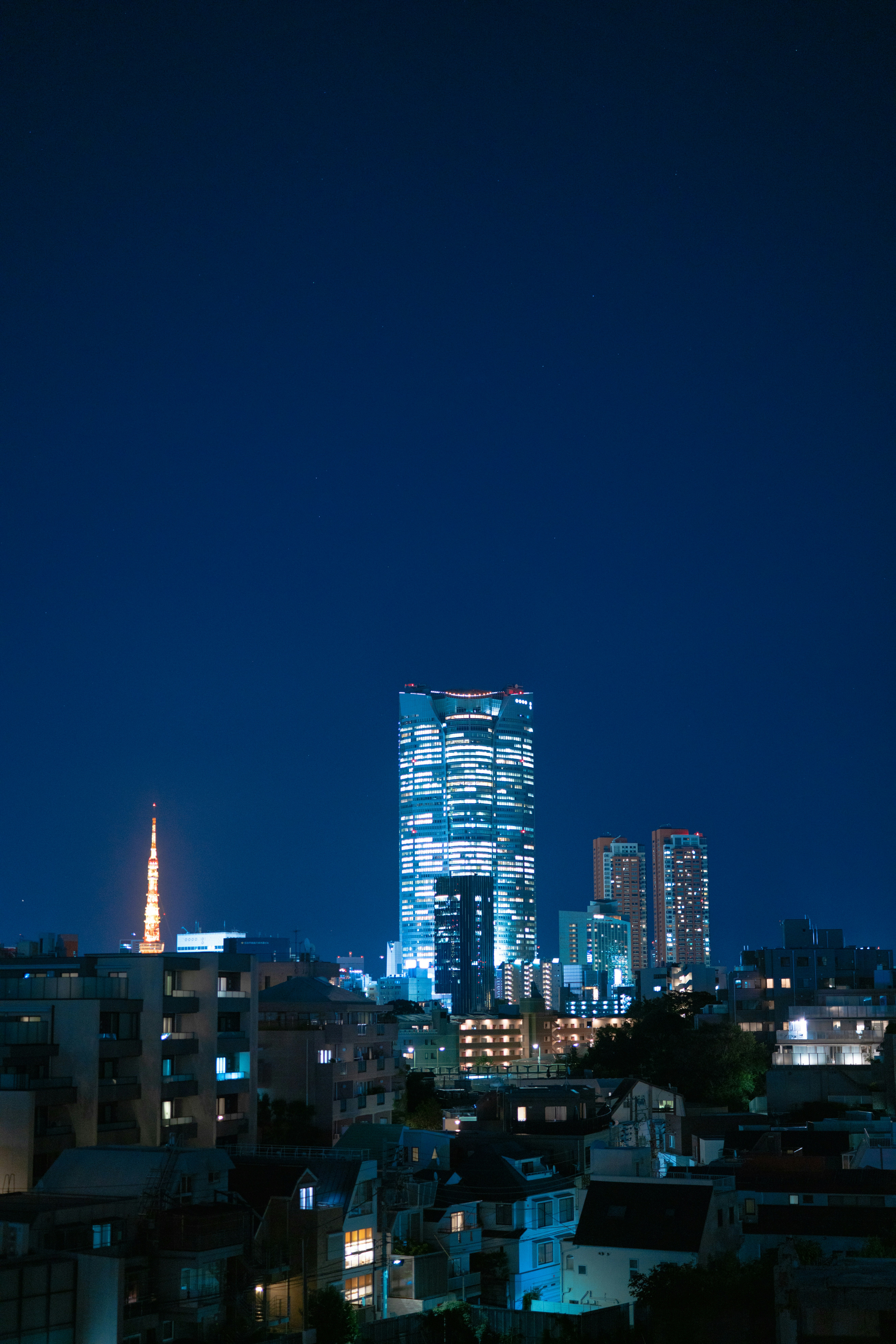 Visionary Tokyo Skyline