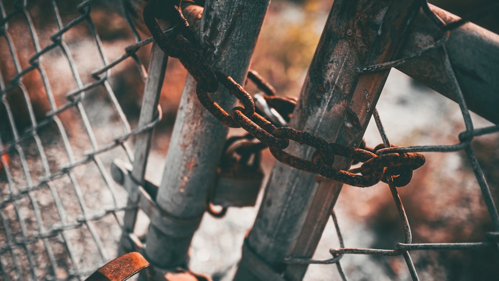 gray metal chain link fence