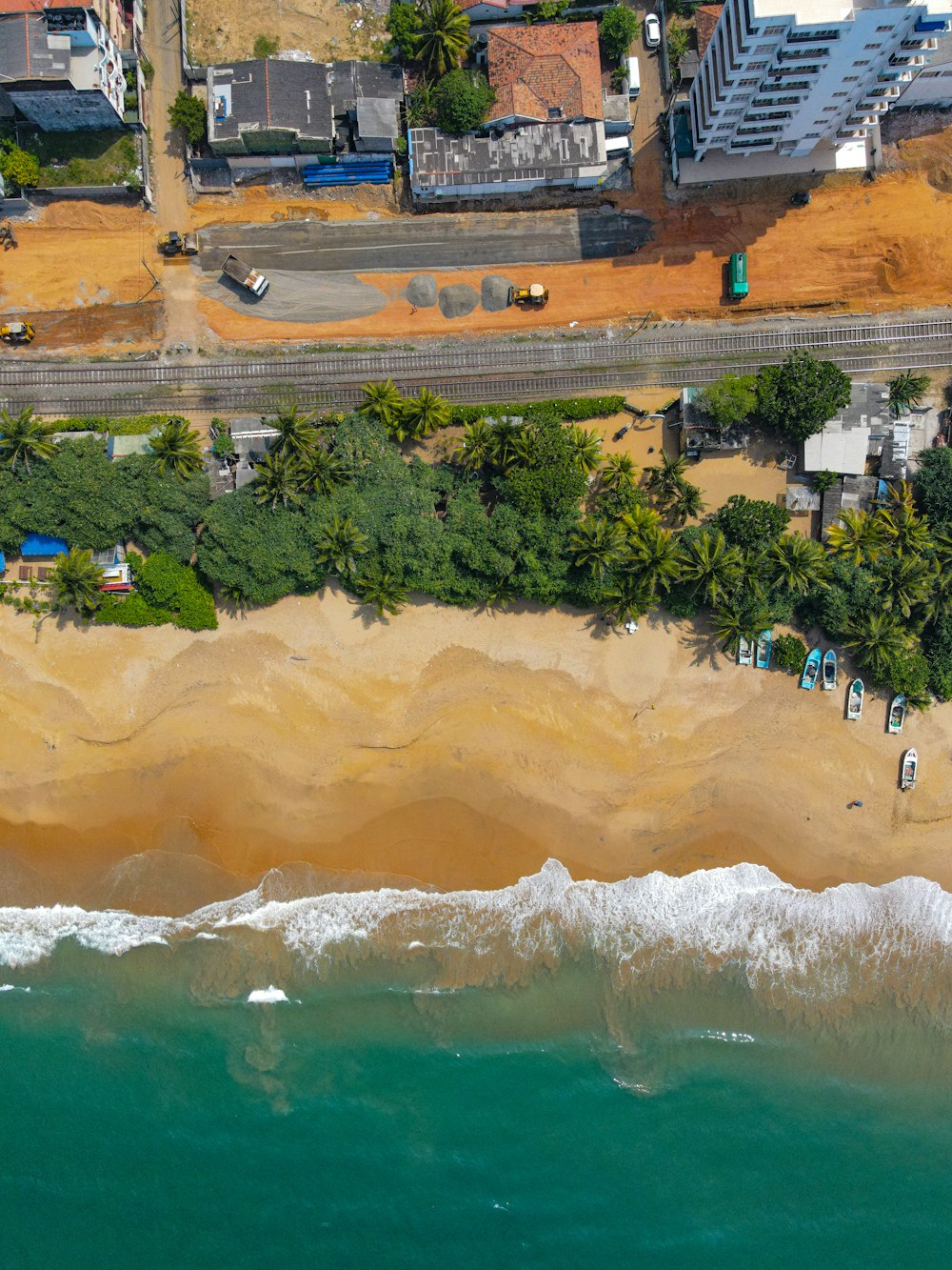 people on beach during daytime