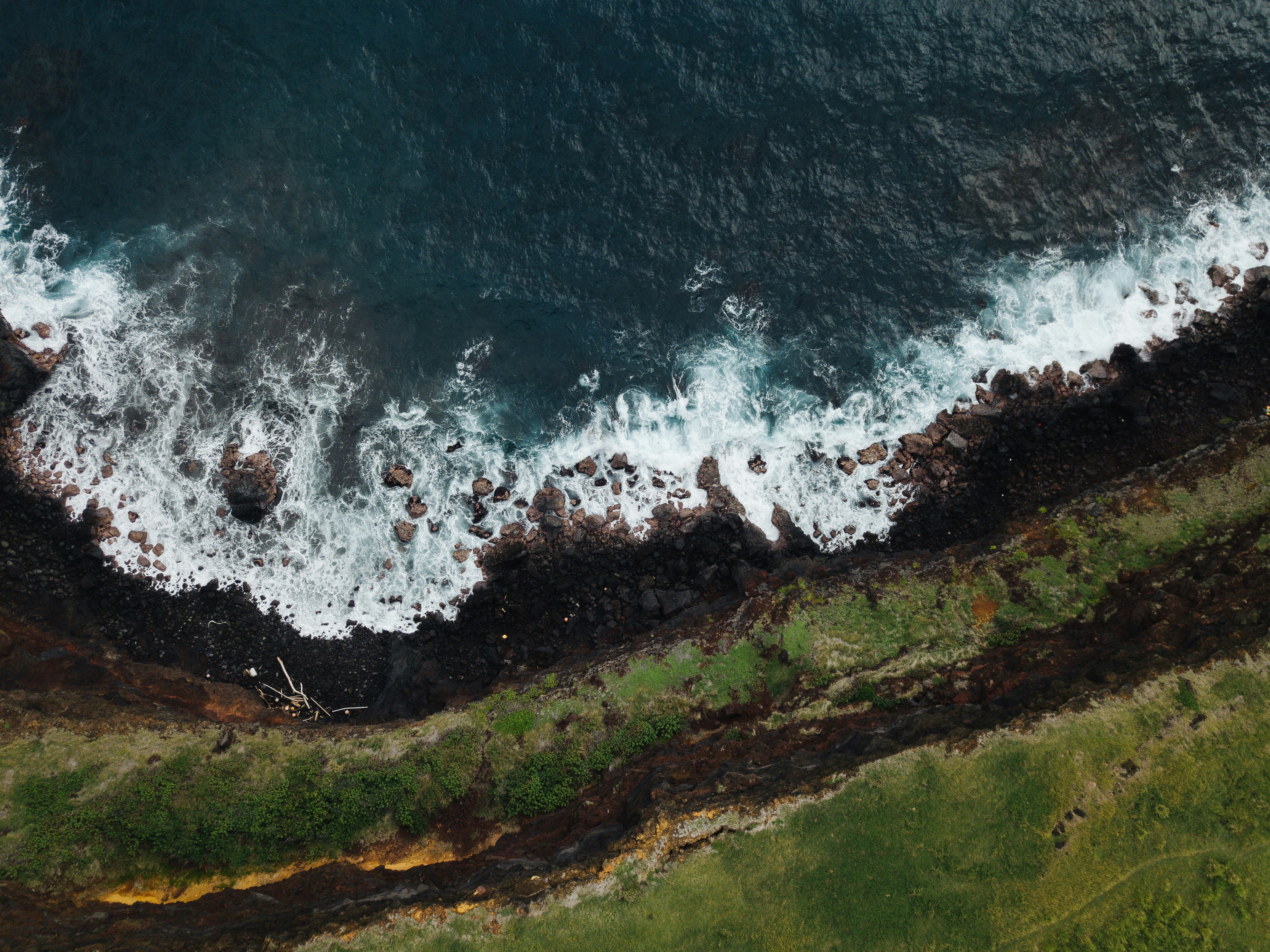 green grass field beside body of water during daytime