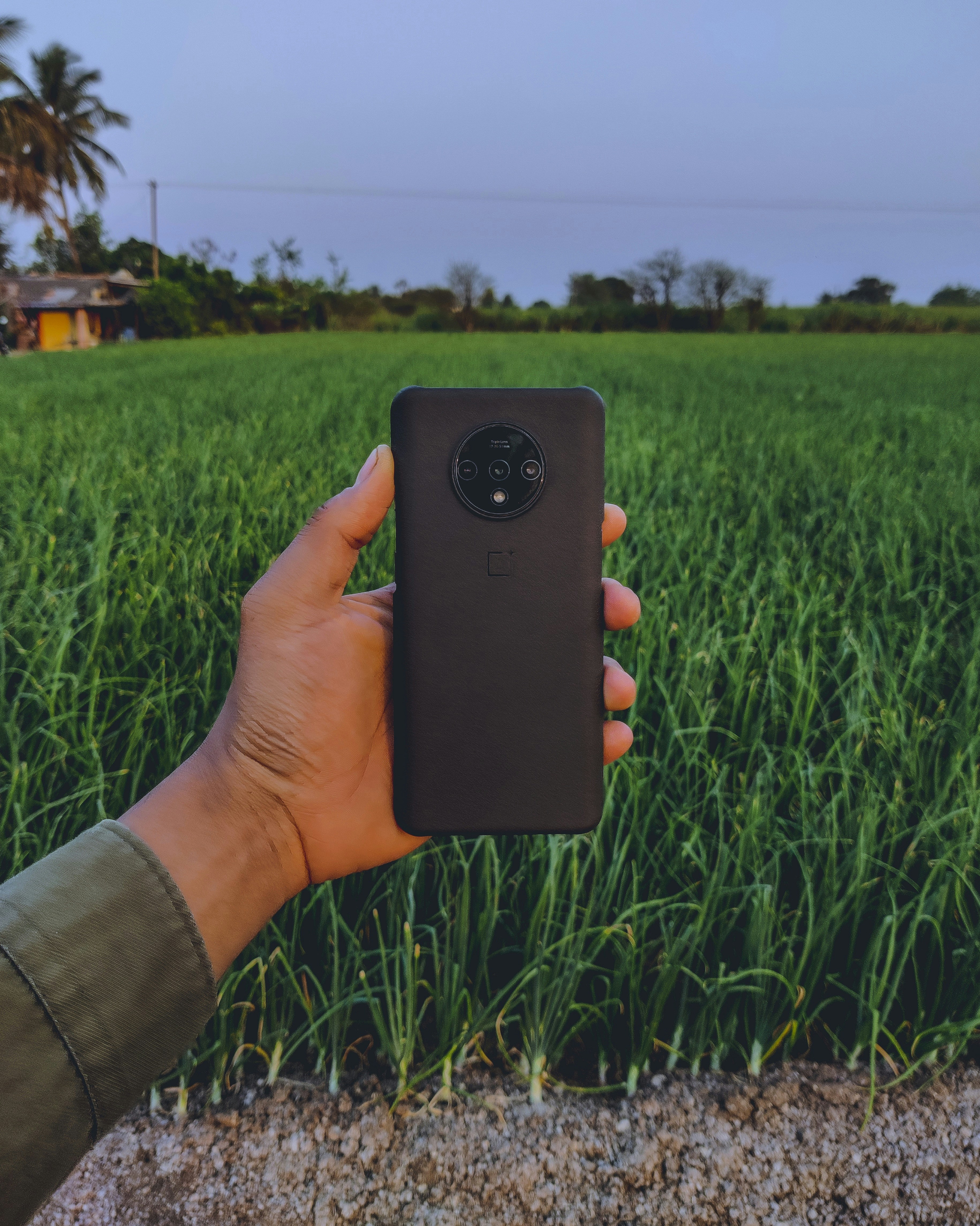 Champ agricole africain verdoyant, mains tenant un smartphone, fond nature lumineuse