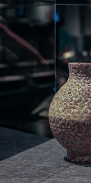 Elegant Asian ceramic vase with detailed blue and white designs displayed in a softly lit gallery.