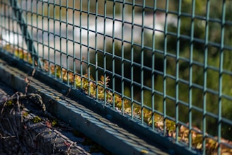 A metal wire fence is depicted with a grid pattern. The fence is seen in focus, while the background appears blurred. Small green plants and moss are growing at the base of the fence, suggesting an outdoor environment, possibly along a path or garden area.