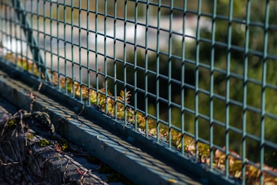 A metal wire fence is depicted with a grid pattern. The fence is seen in focus, while the background appears blurred. Small green plants and moss are growing at the base of the fence, suggesting an outdoor environment, possibly along a path or garden area.