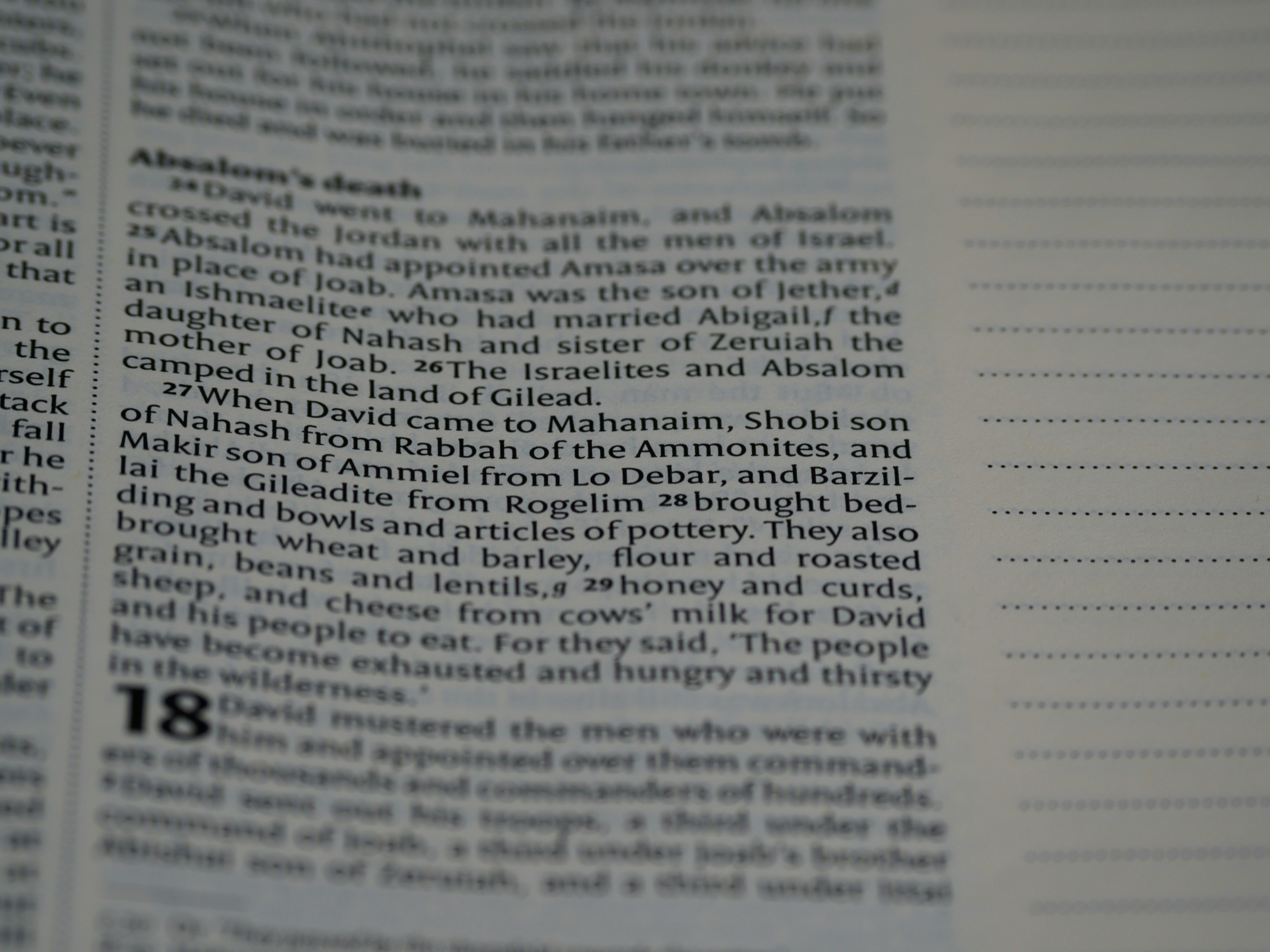 Photo by brett_jordan