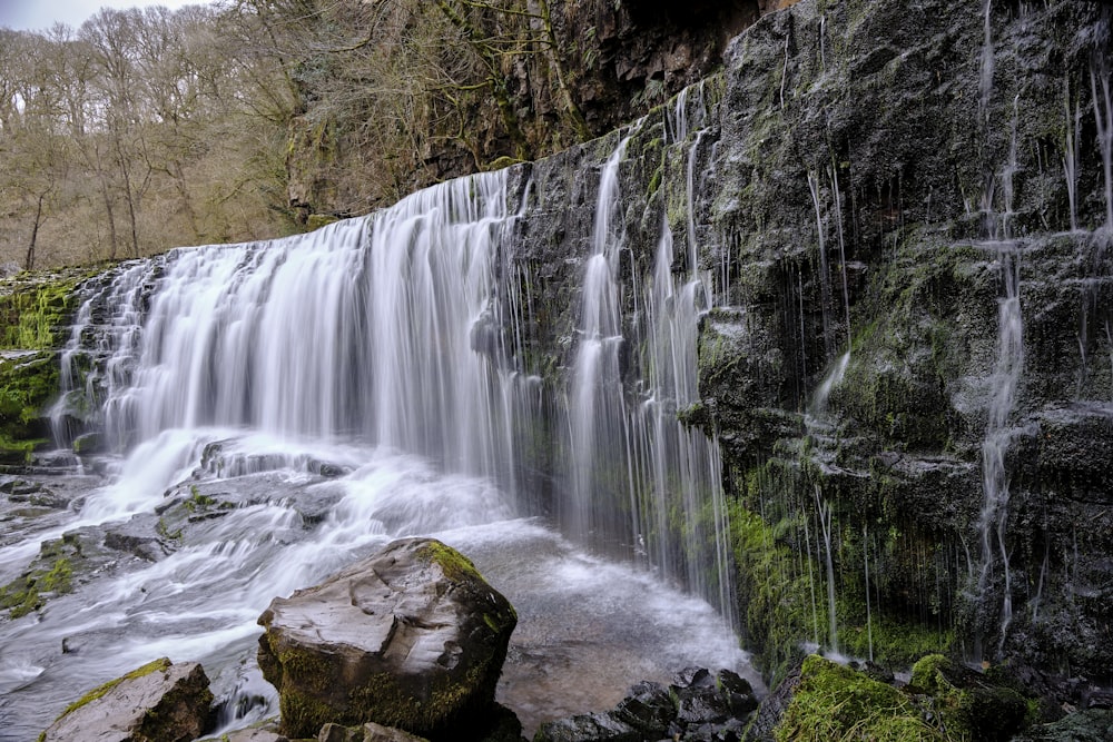 waterfalls in forest during daytime