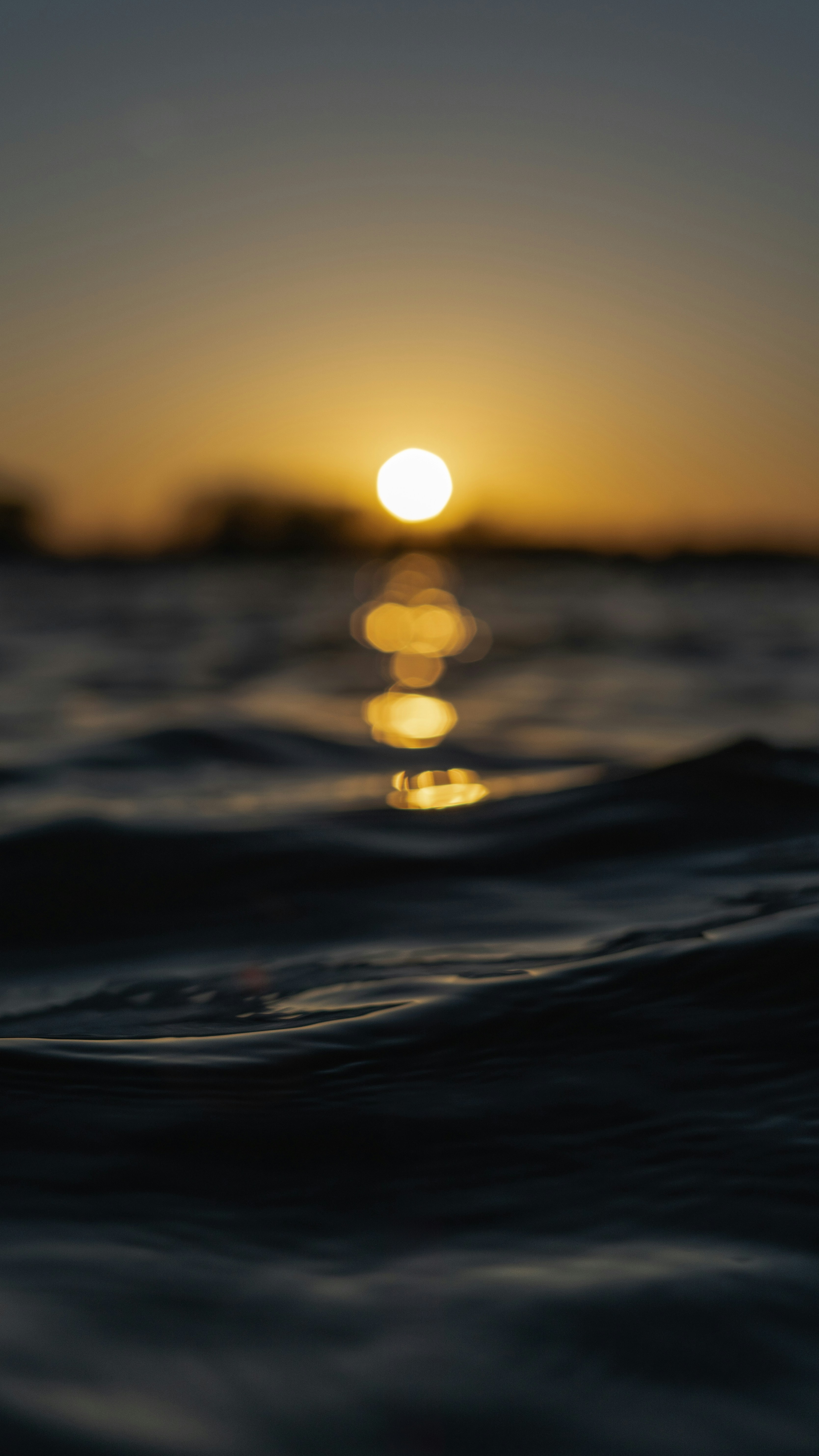 Photo by infoxicated