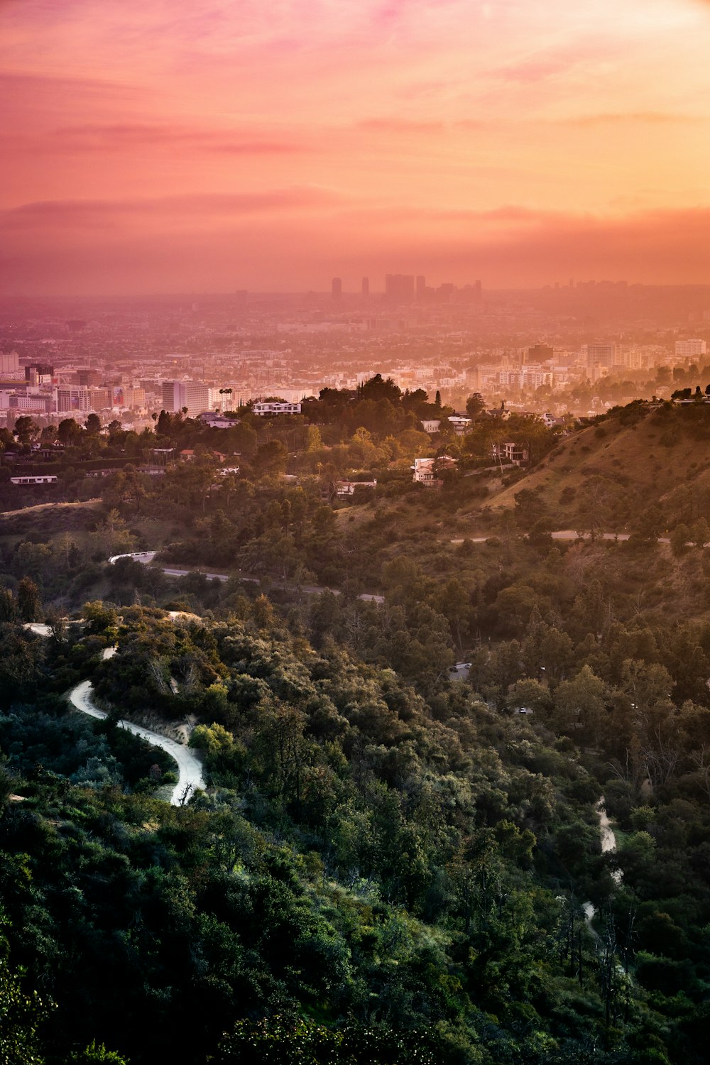 aerial view of green trees and river during sunset