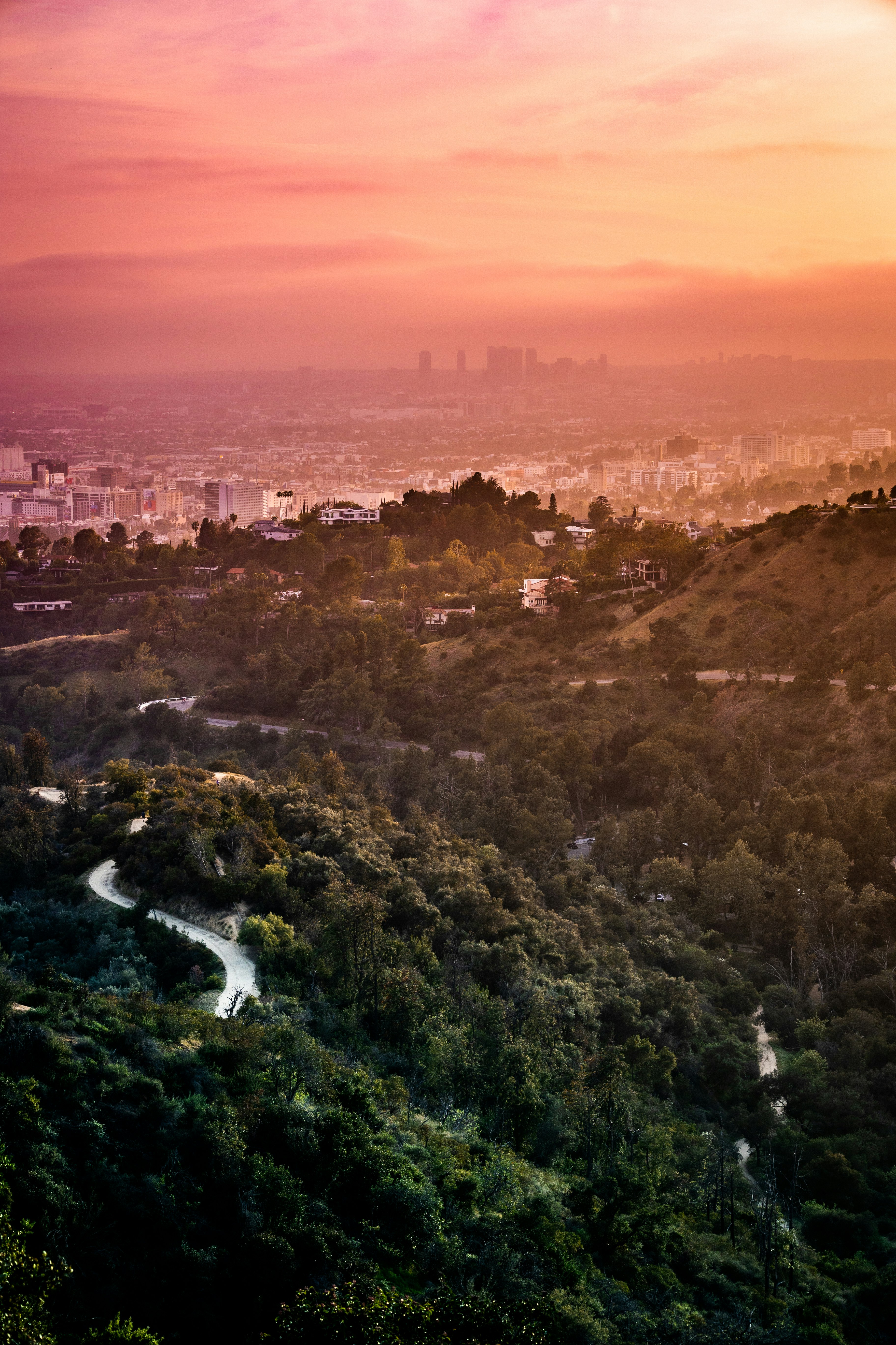 aerial view of green trees and river during sunset