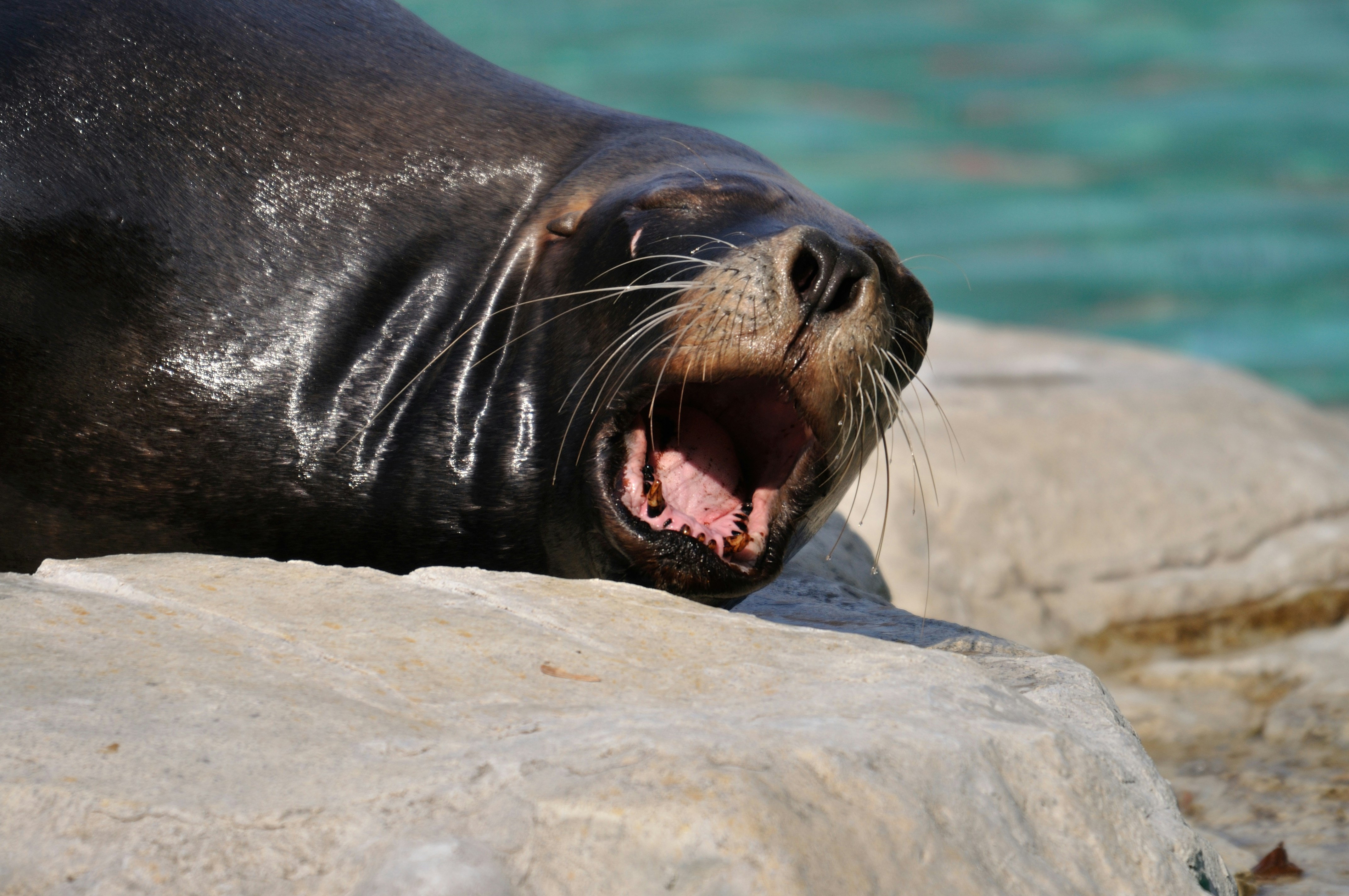 Photo by peter_brendler