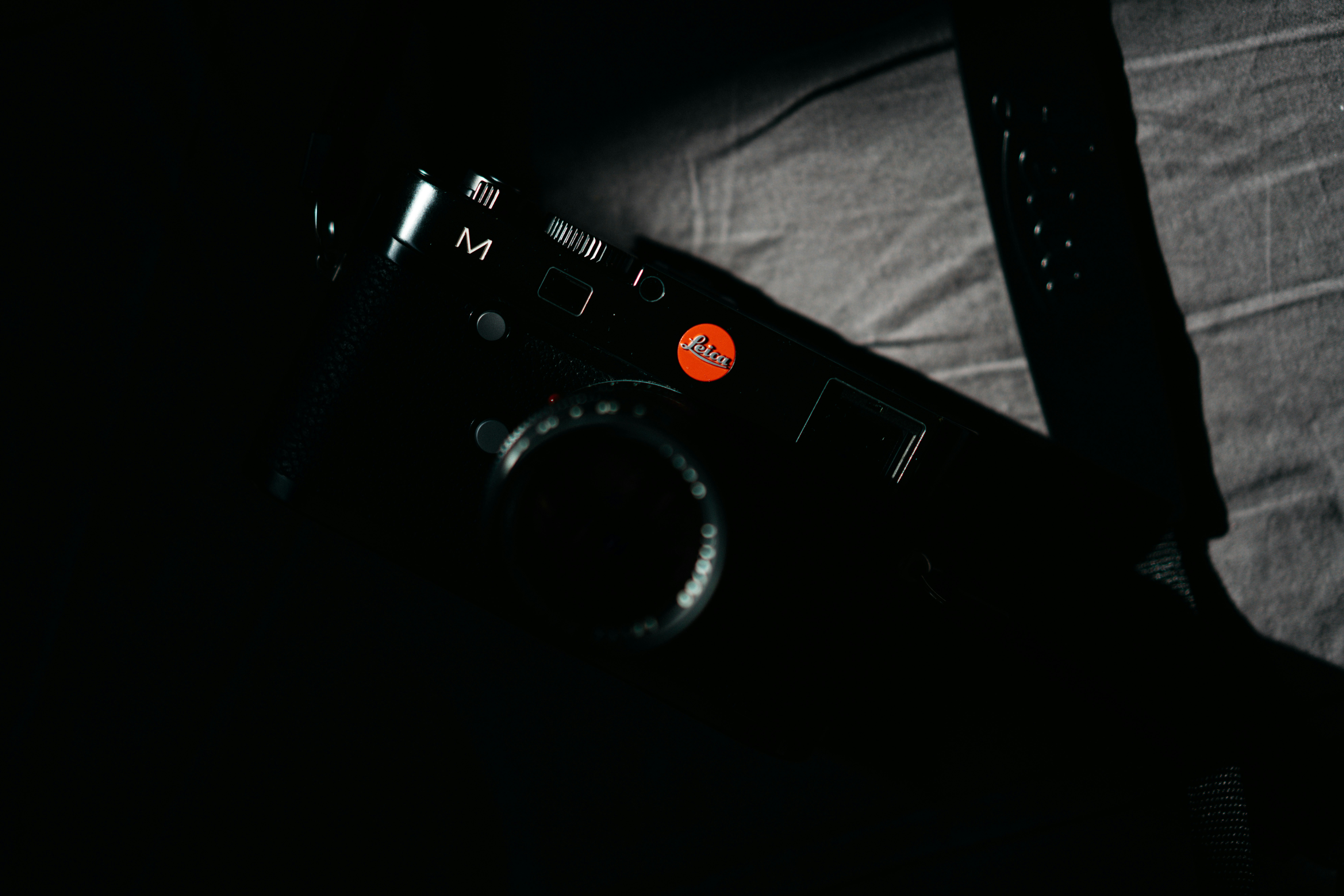 Photo by darabosralph