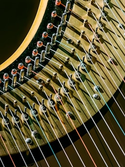 brown and black musical instrument