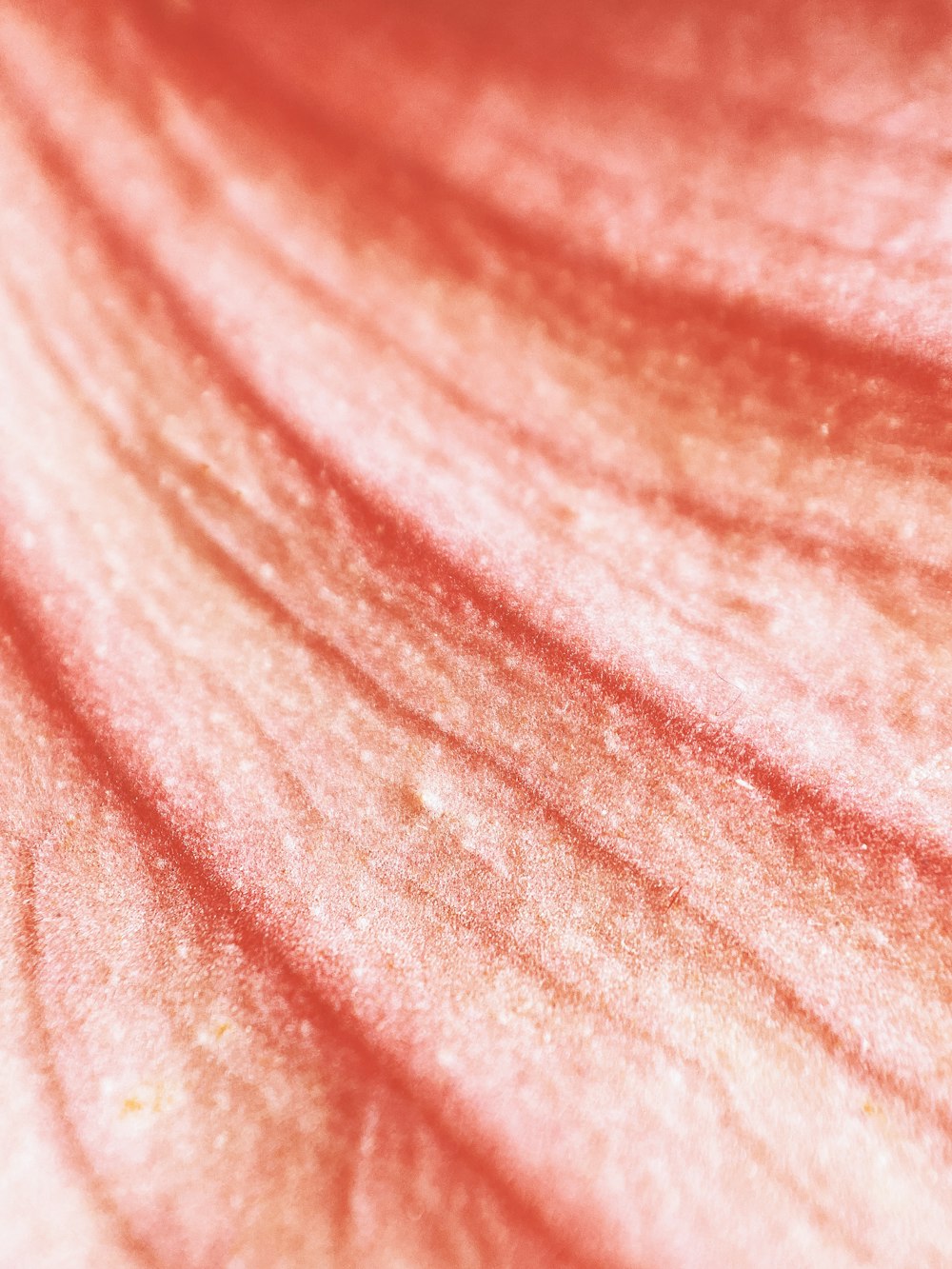 pink textile in close up photography