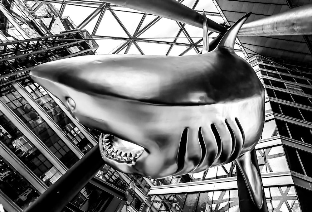 estátua cinzenta e branca do tubarão