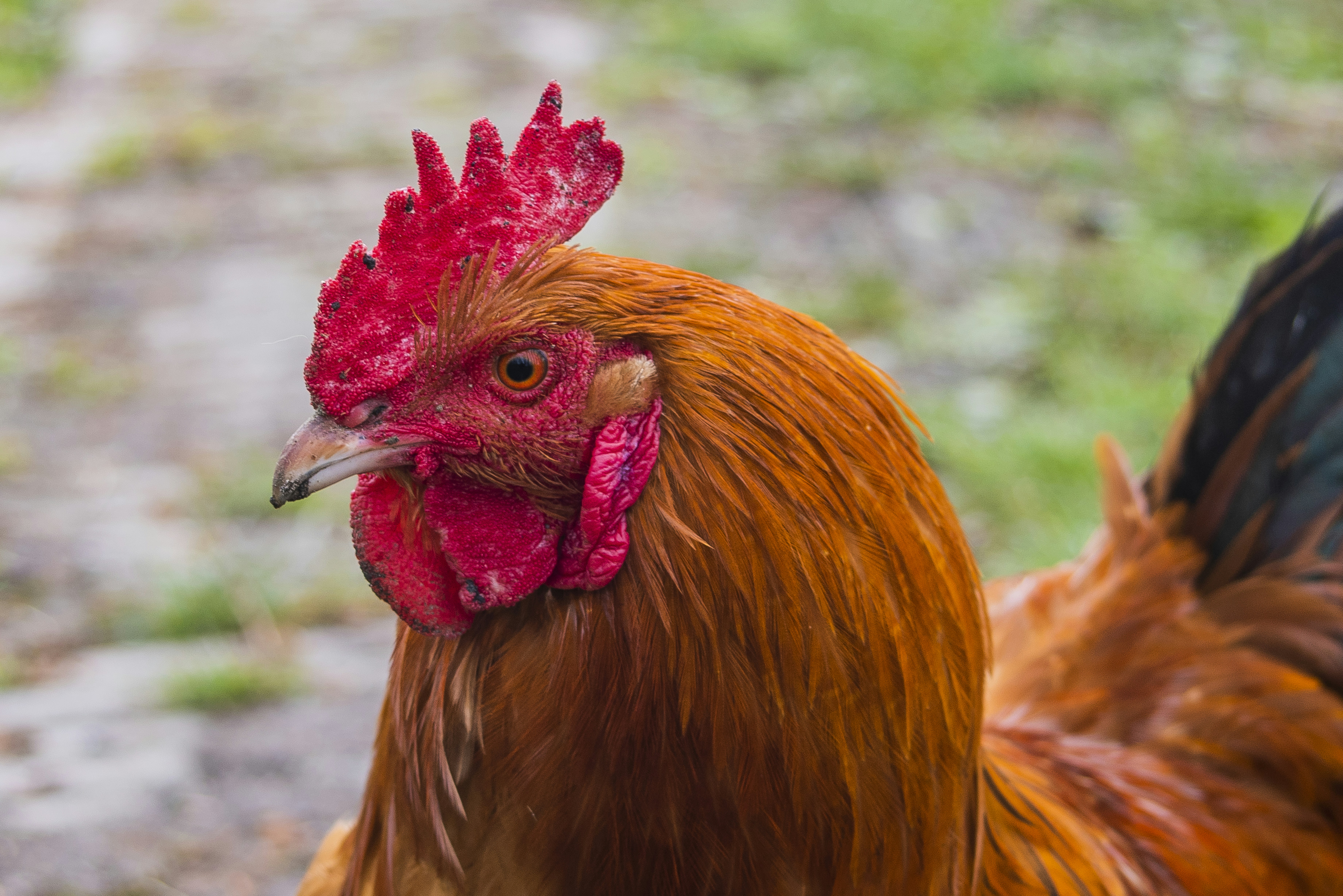 Photo by switch_dtp_fotografie