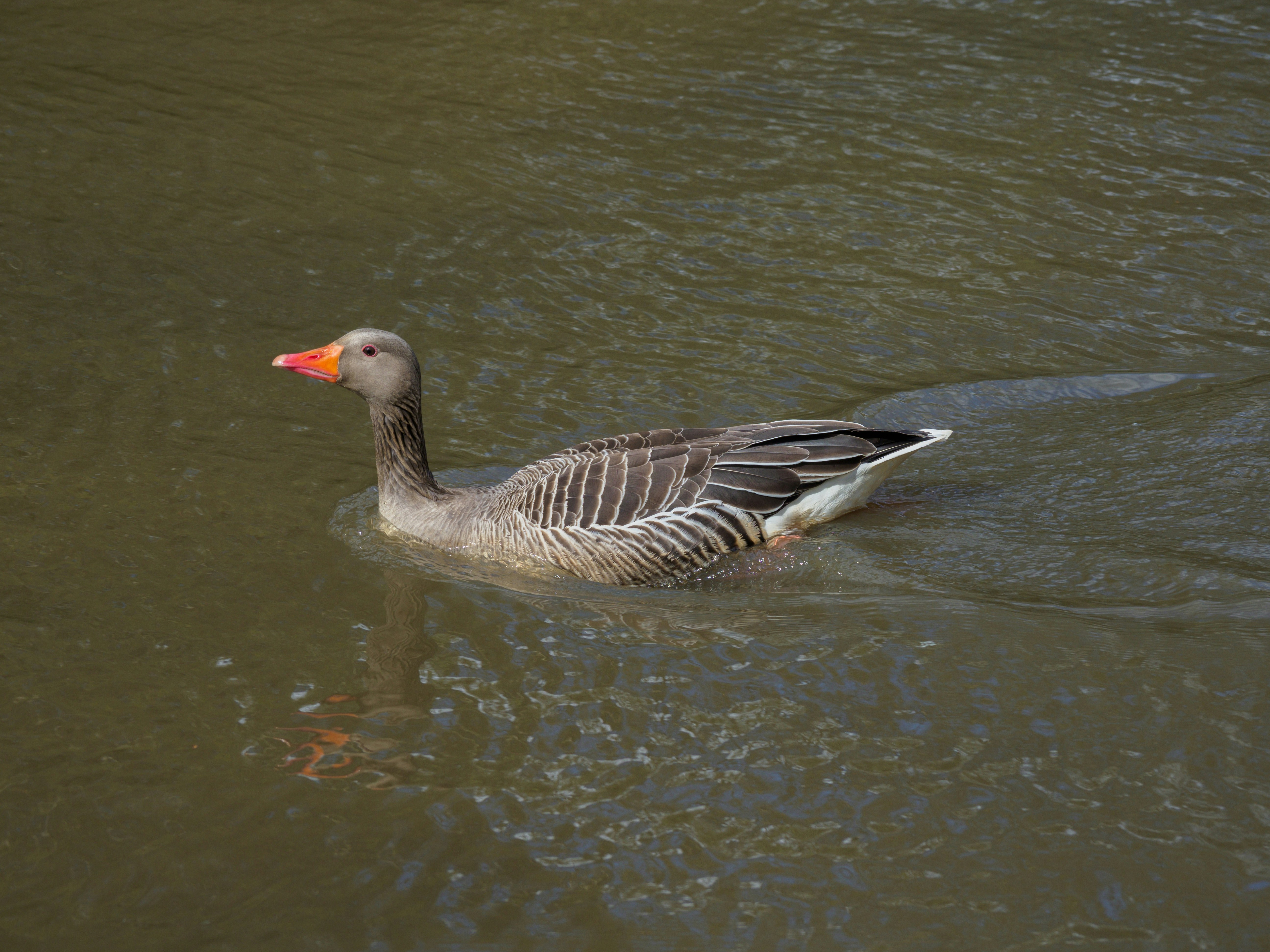 Photo by brett_jordan