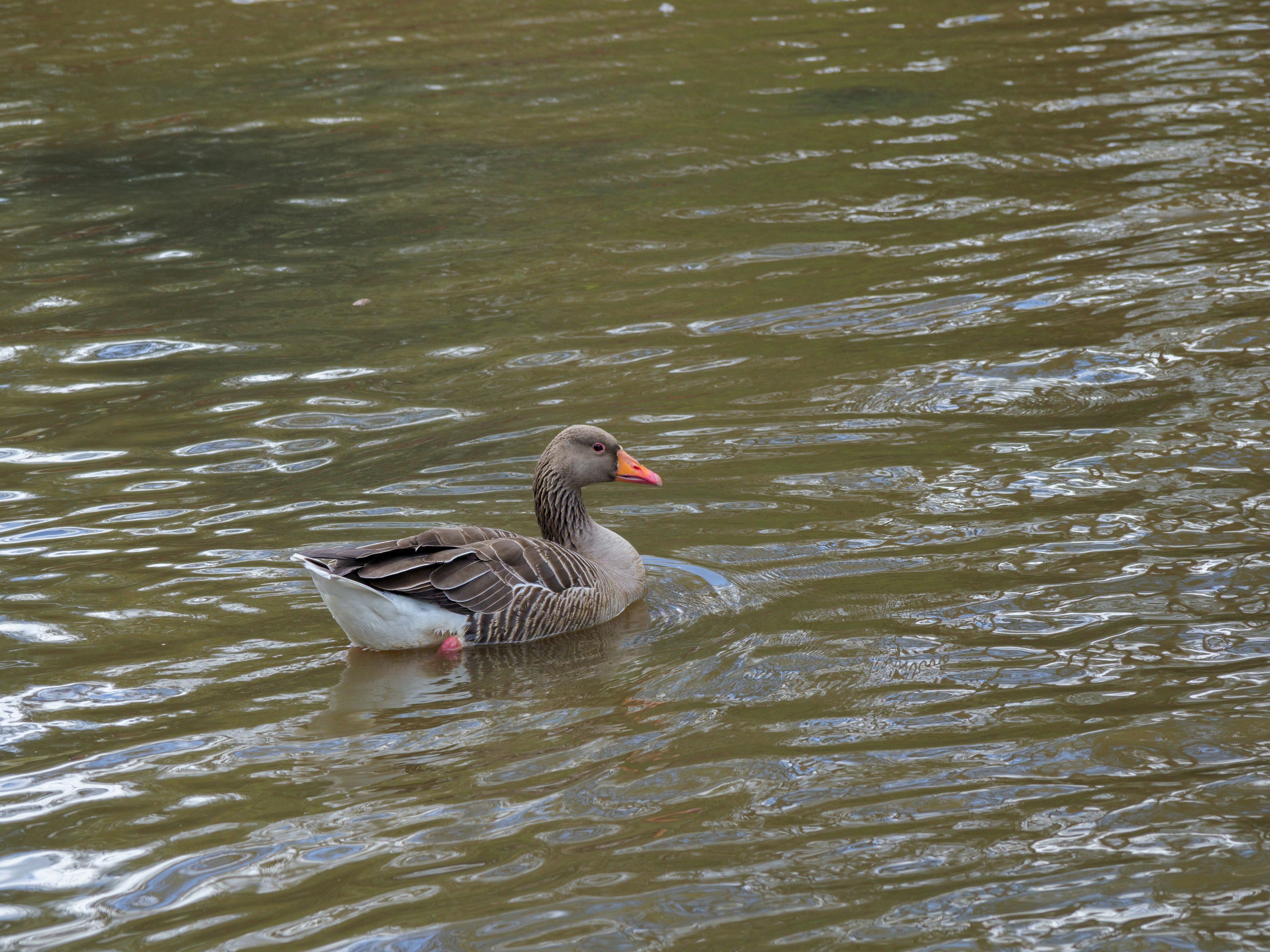 Photo by brett_jordan