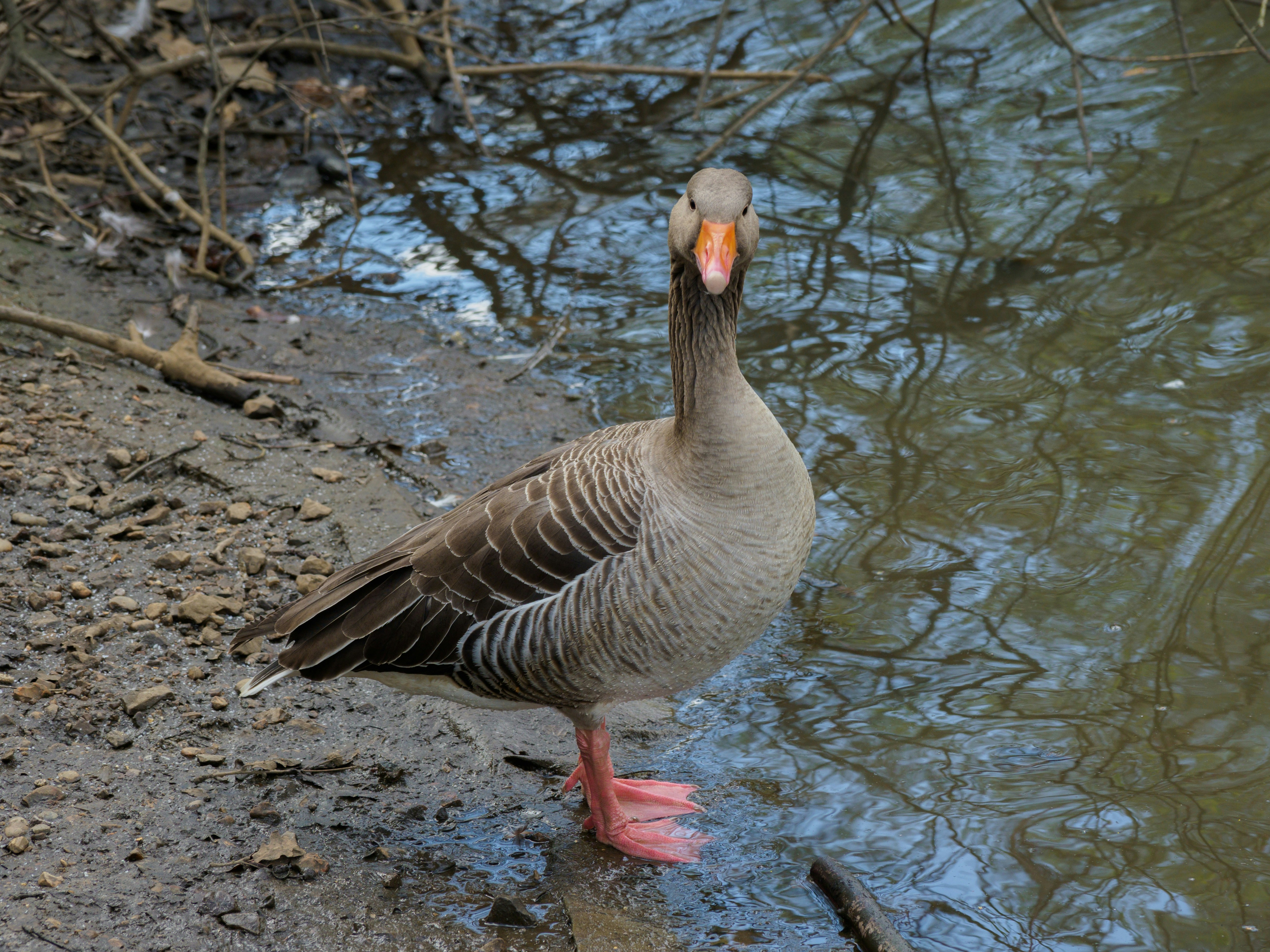 Photo by brett_jordan