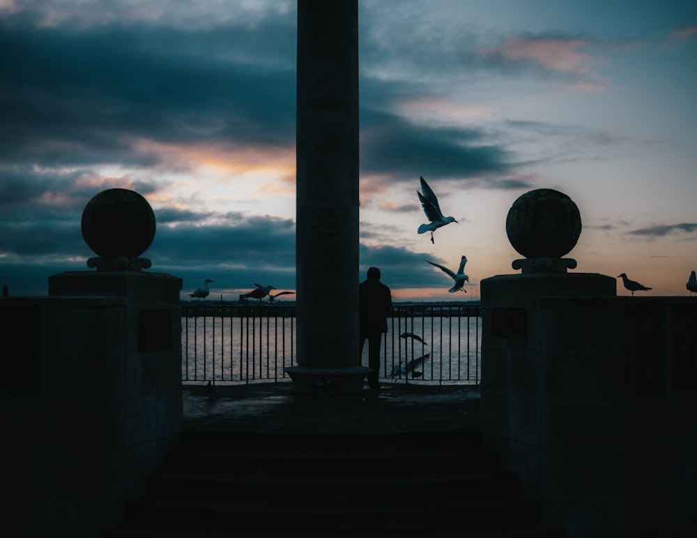 silhouette of bird flying over people walking on sidewalk during sunset