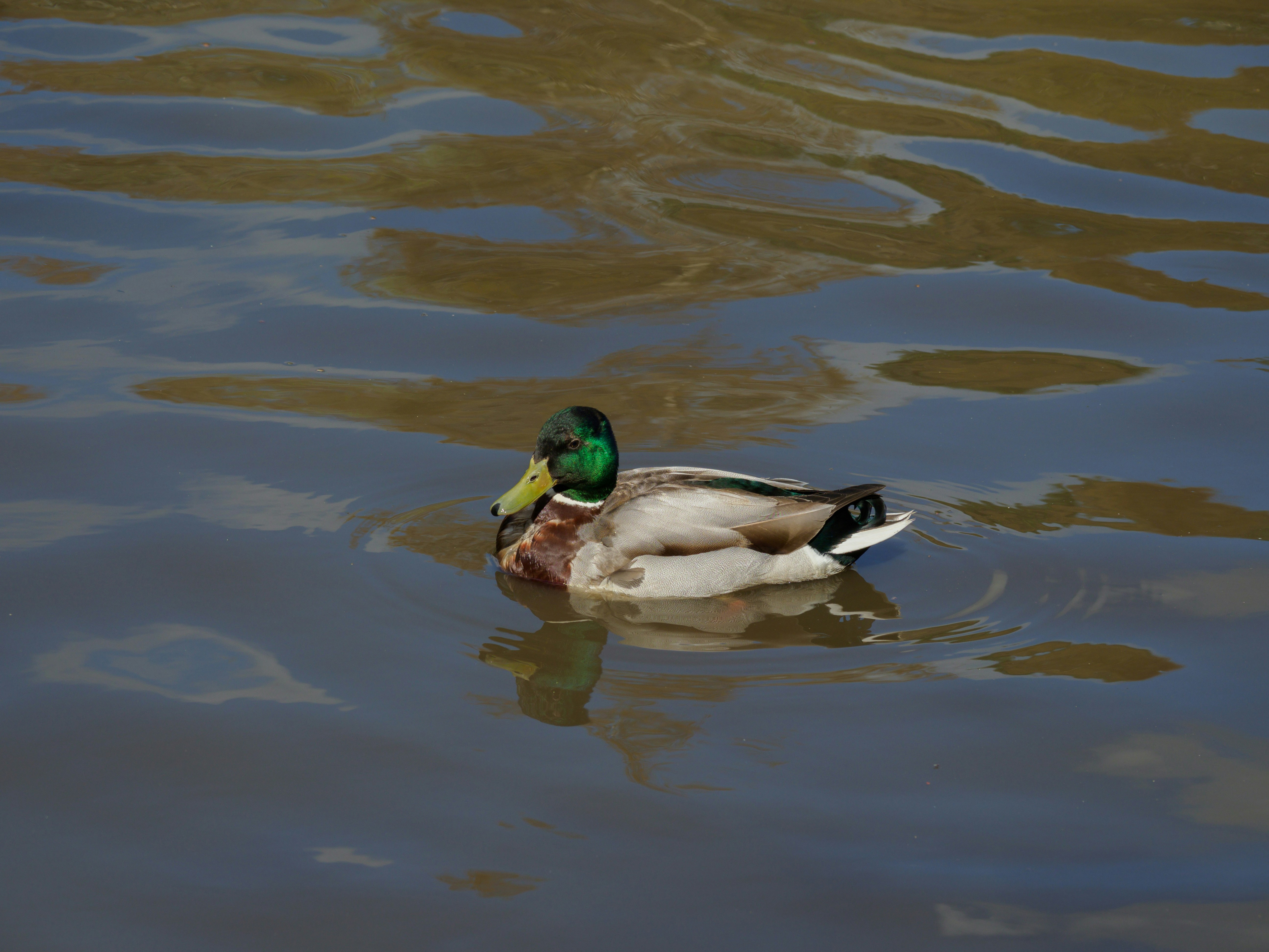 Photo by brett_jordan