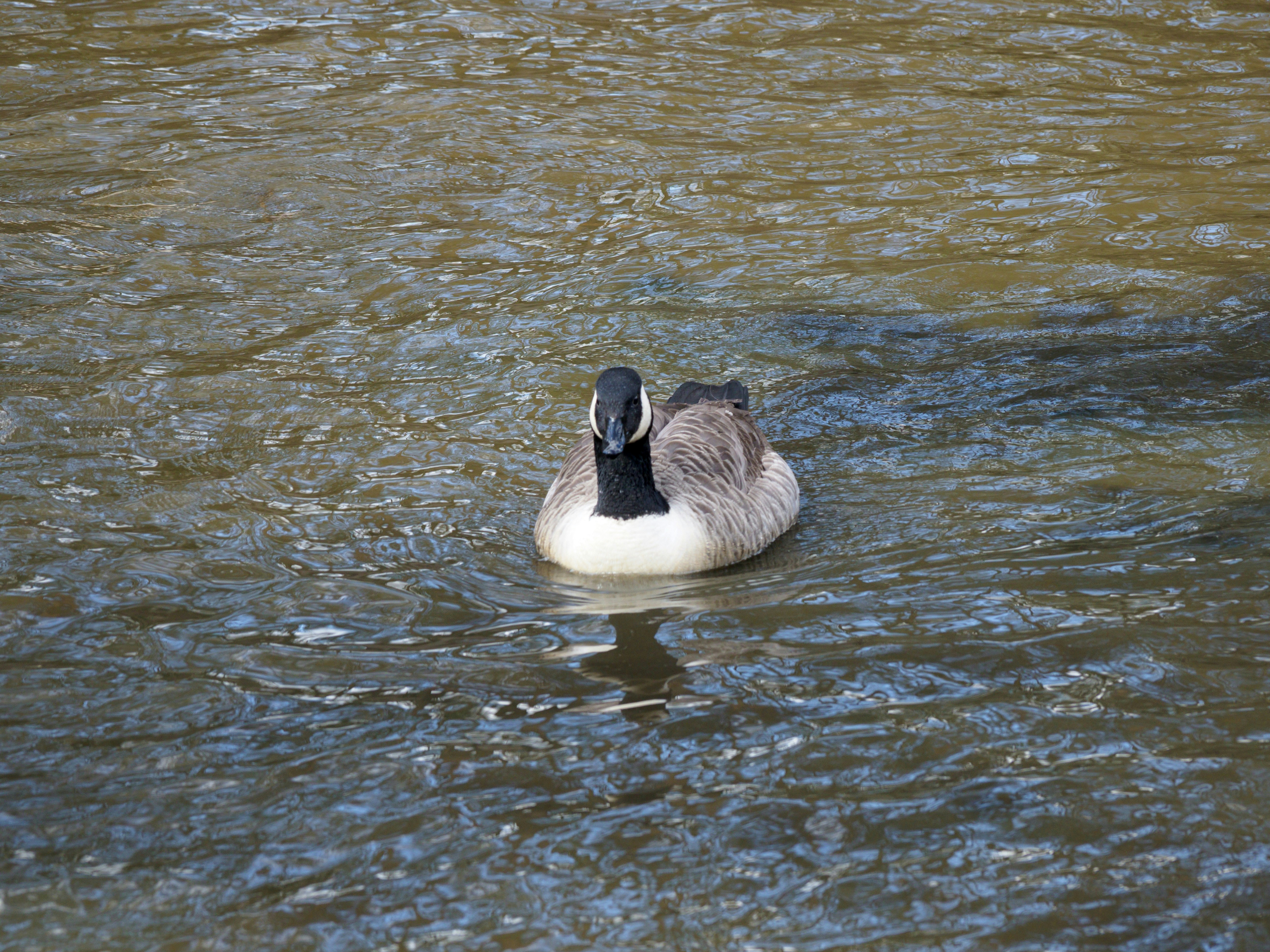 Photo by brett_jordan