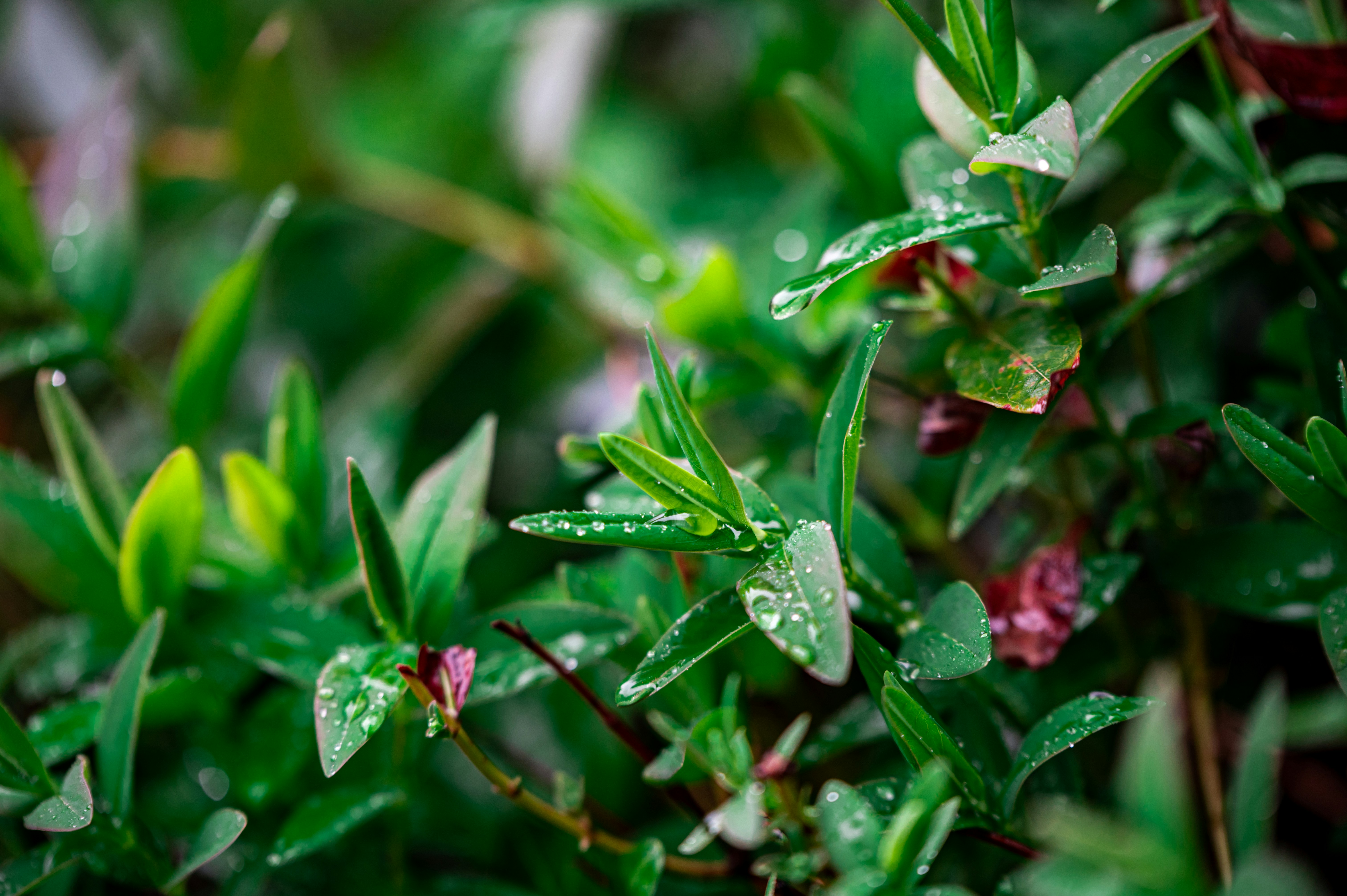 Photo by andreasbrun